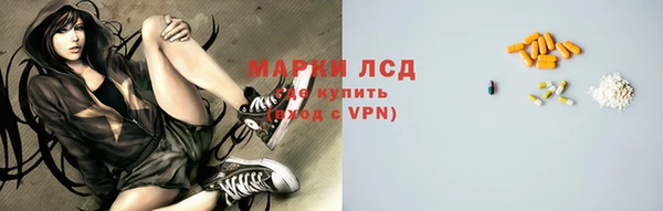 ПСИЛОЦИБИНОВЫЕ ГРИБЫ Тында